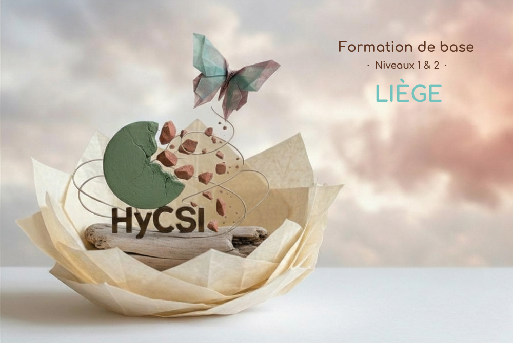 Formation de base HYCSI® niveaux 1 & 2 Liège  