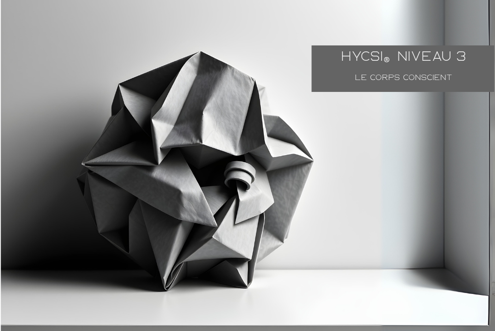 Formation de base HYCSI® Niveau 3  