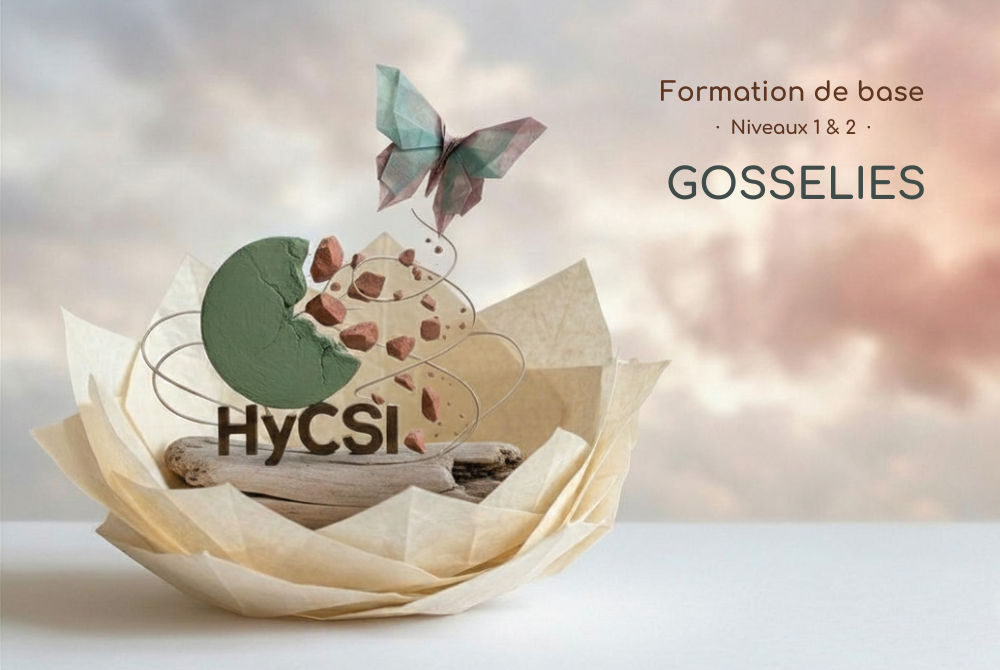Formation de base HYCSI® niveaux 1 & 2 Gosselies  